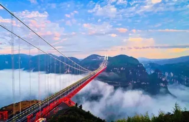 发现有趣热门话题的酒后找人代驾你放心吗?红迪网